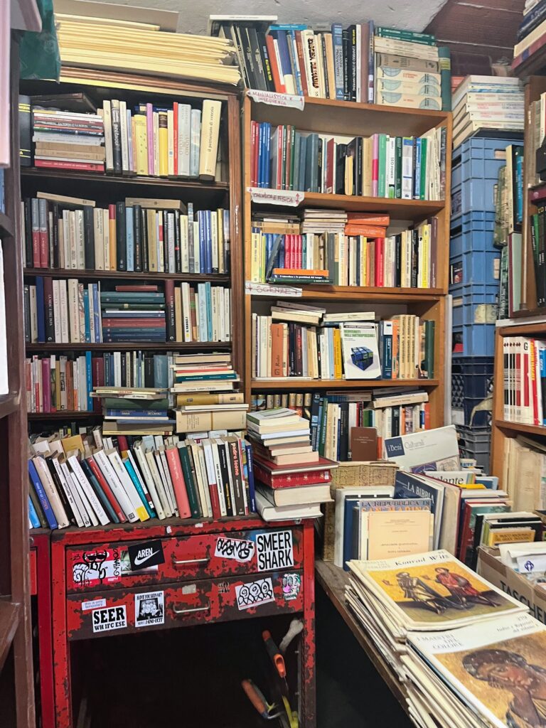 Various books in a book store on different shelves and carts