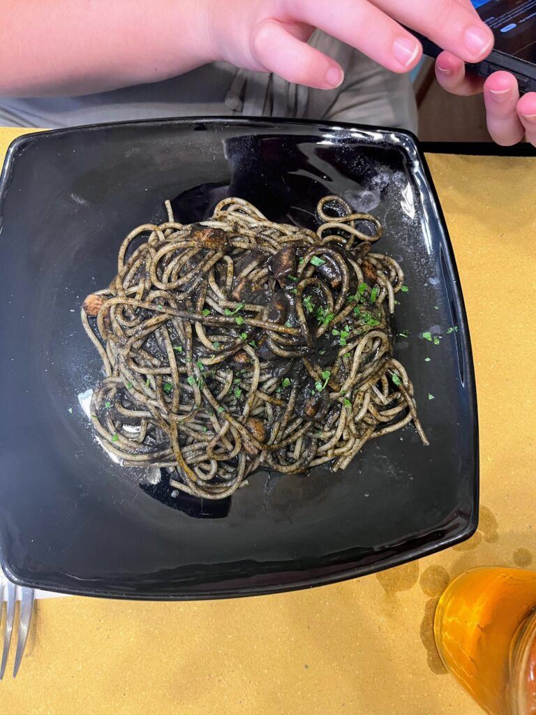 A plate of pasta with a black sauce